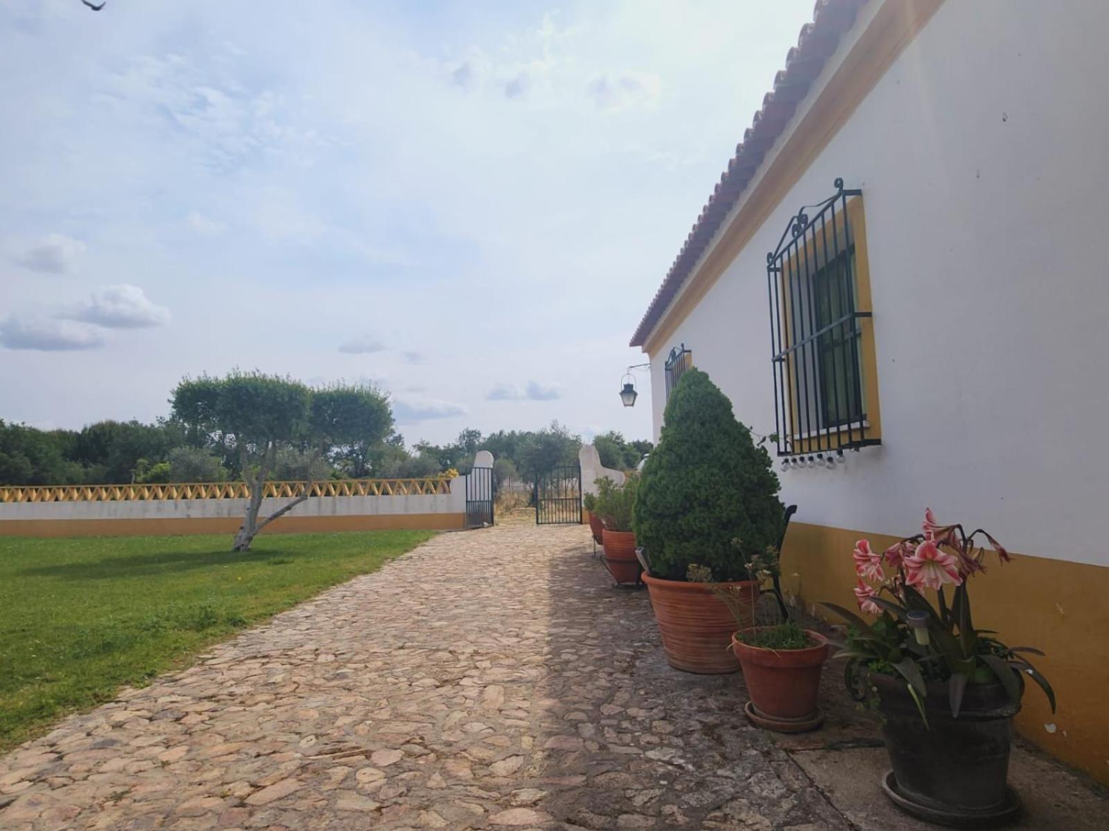 Montinho Do Palanque Villa Viana do Alentejo Eksteriør billede