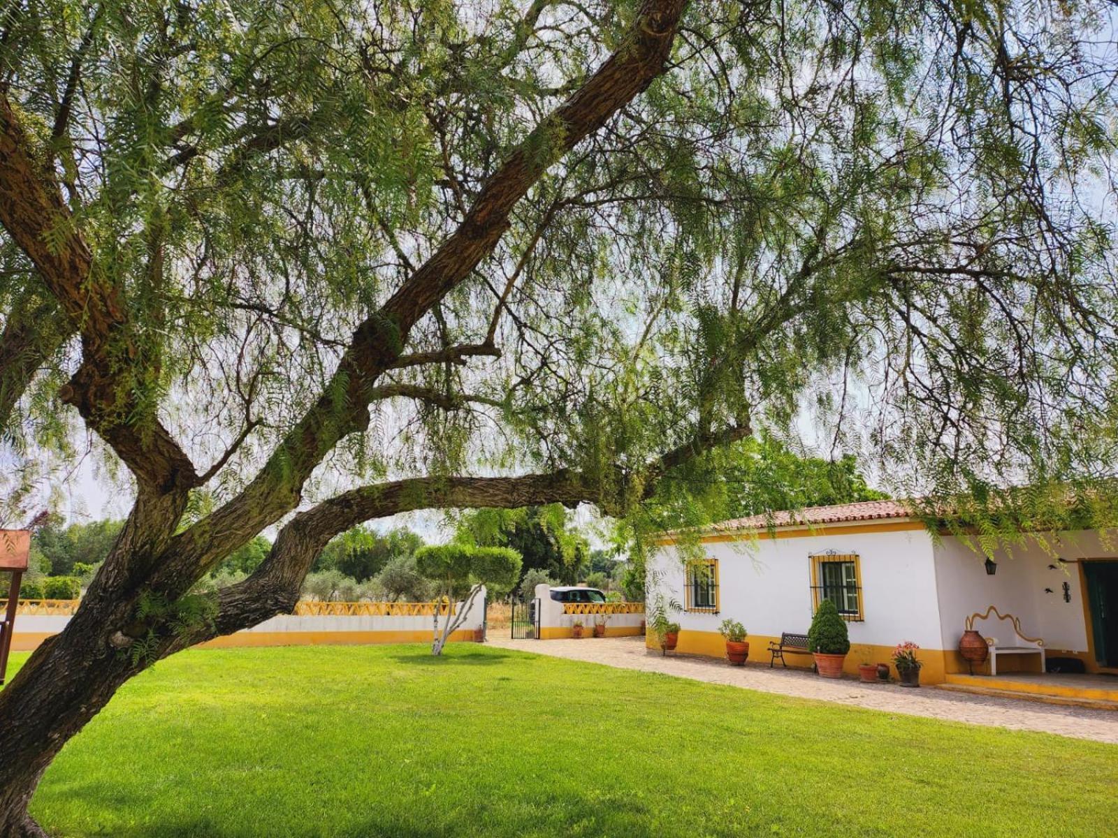 Montinho Do Palanque Villa Viana do Alentejo Eksteriør billede