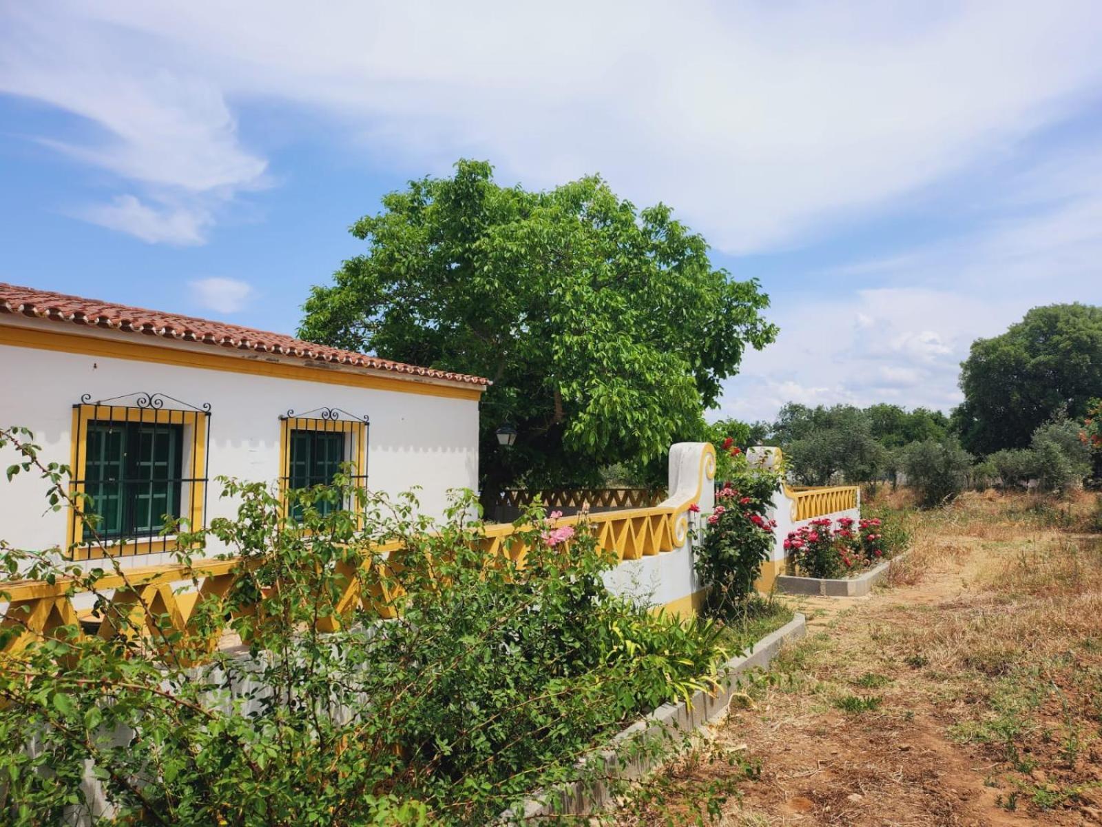 Montinho Do Palanque Villa Viana do Alentejo Eksteriør billede